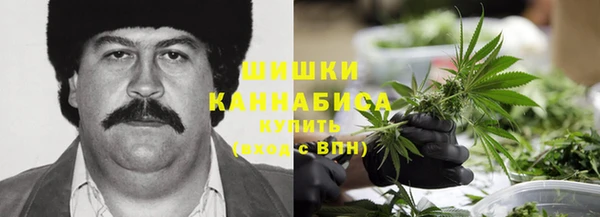 тгк Верея