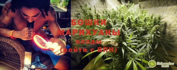 тгк Верея