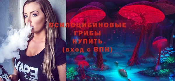 тгк Верея