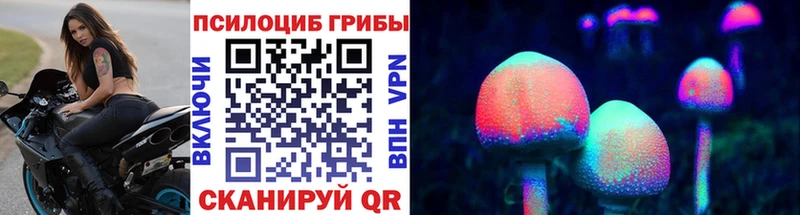 Псилоцибиновые грибы мицелий Голицыно