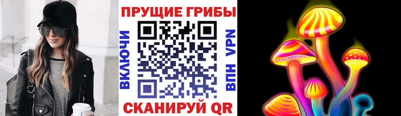 OMG как зайти  Голицыно  Галлюциногенные грибы ЛСД 